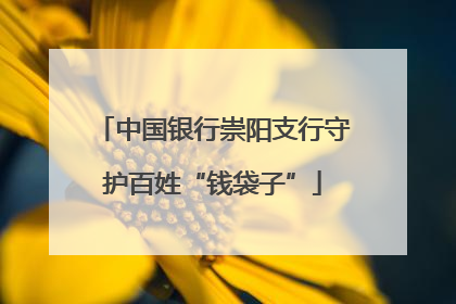 中国银行崇阳支行守护百姓“钱袋子”